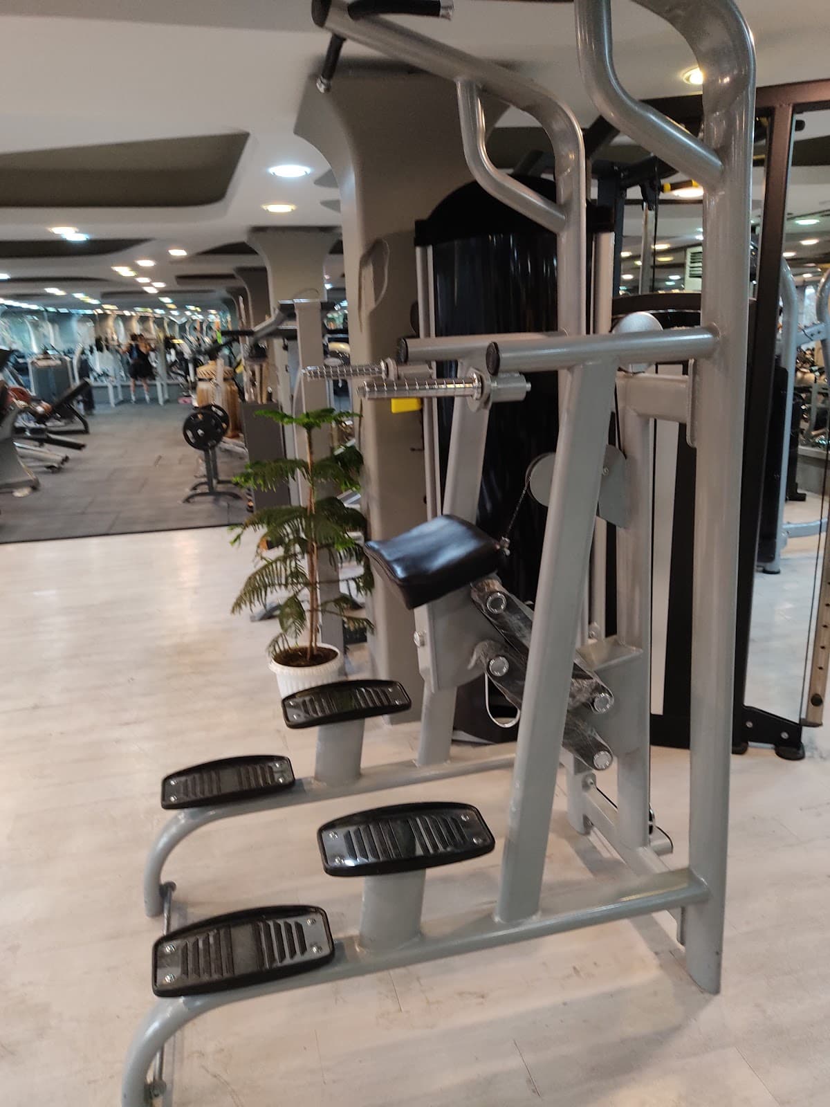 Proshat gym