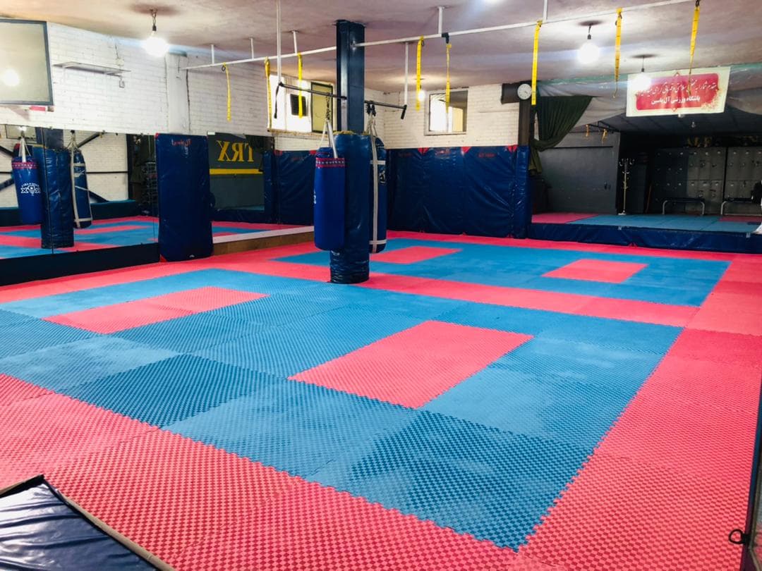 aleyasin gym