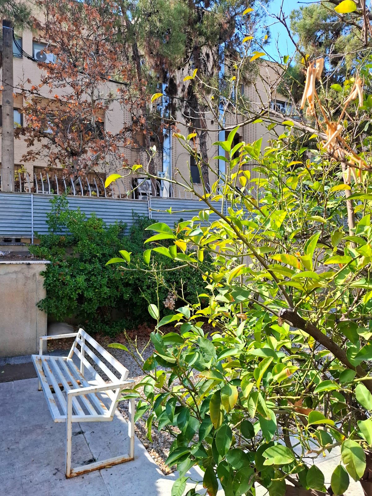 باشگاه یوگا روان 5