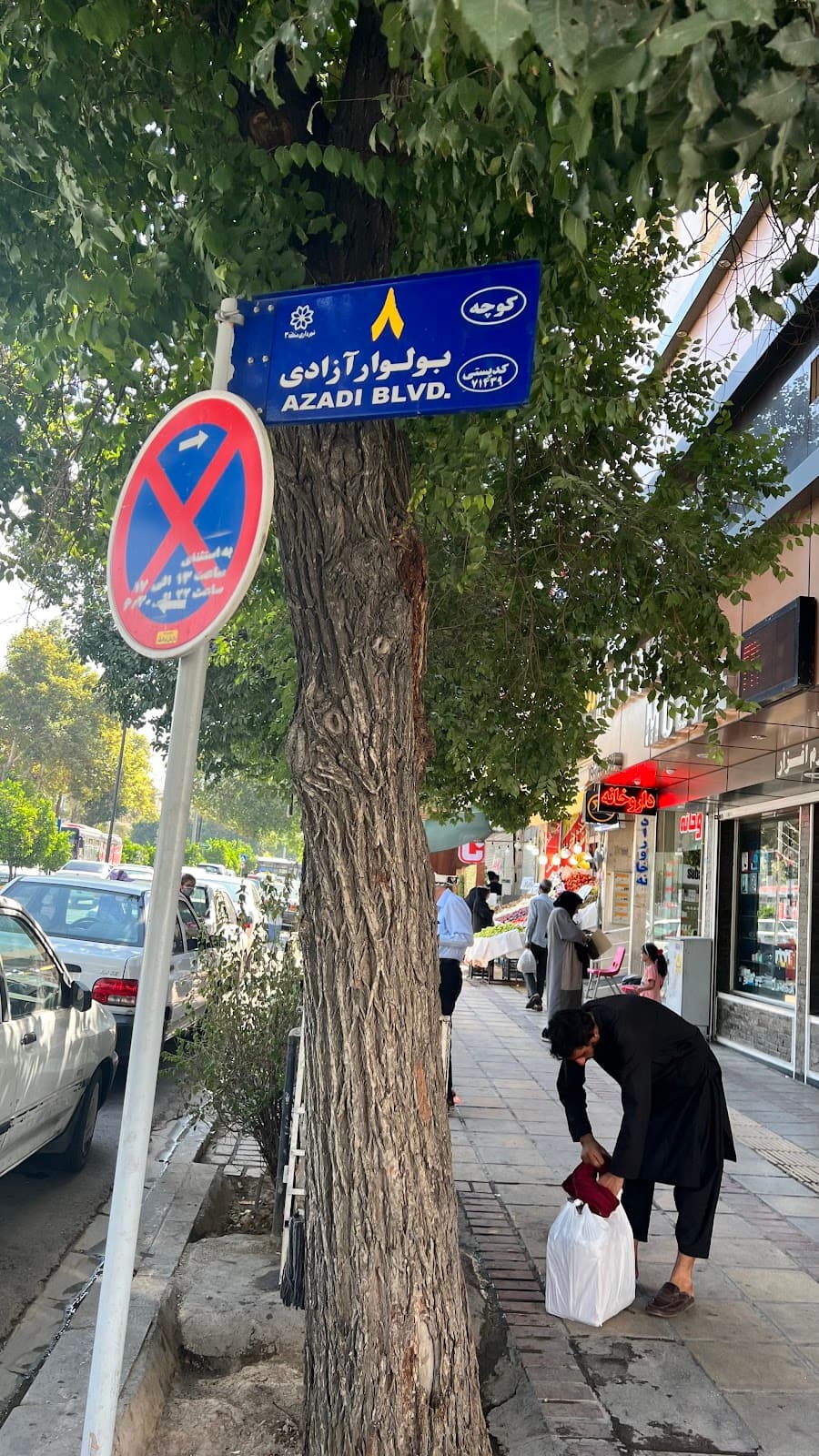 دکتر دلاوری 3